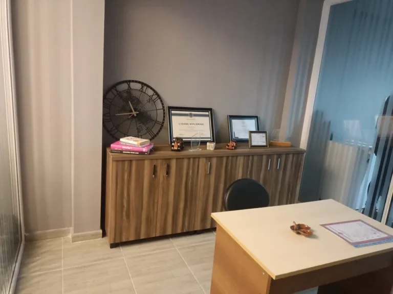 Kastamonu ofis temizliği sonrası düzenli çalışma alanı